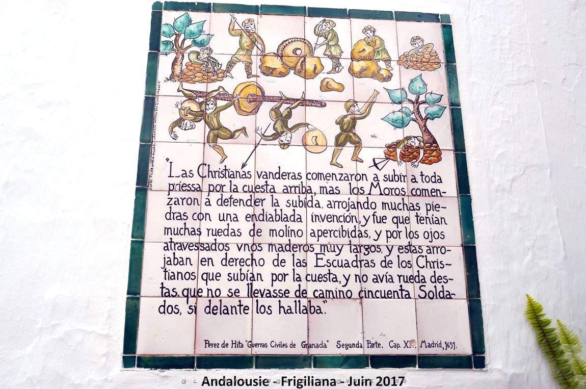 578 - Frigiliana.JPG
